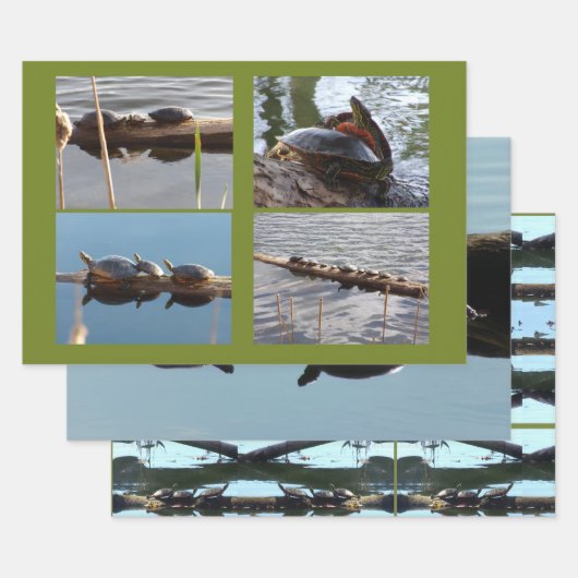 Schildpadliefhebber Inpakpapier Vlakke Vellen Set (Set)