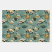 Schildpadpatroon nr. 6 inpakpapier vel (Voorkant)