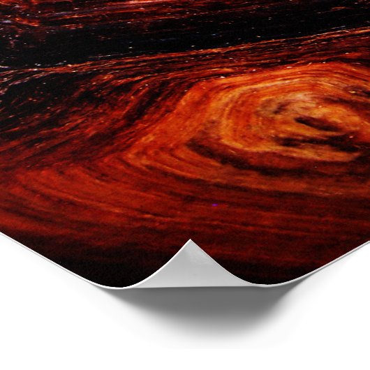 Schildpadpatroon Poster (Hoek)