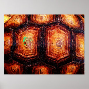 Schildpadpatroon Poster