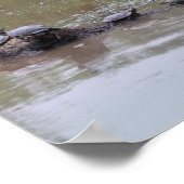Schildpadposters Poster (Hoek)