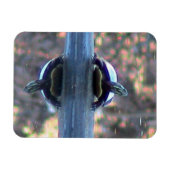 Schildpadreflectiemagneet (flexibel) magneet (Horizontaal)