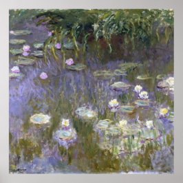 Schildpadschilder van de monet poster