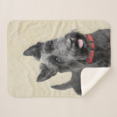 Schildpadschilders - Kute Original Dog Art Sherpa Deken (Voorkant (horizontaal))