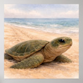 Schildpadstrand  poster (Voorkant)