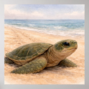 Schildpadstrand  poster