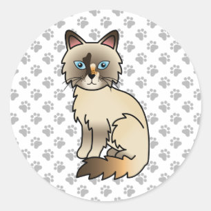 Schildpadtabby Birmaanse kat / Ragdoll Mooie Kat & Ronde Sticker