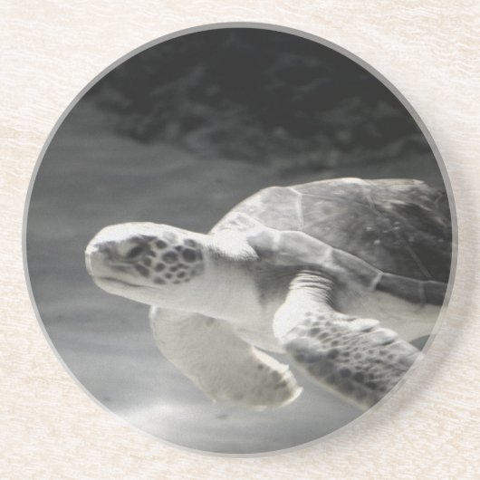 Schildpadtafel Home Decor Zandsteen Onderzetter (Voorkant)
