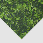 Schildpadvetten Tissuepapier (Detail)