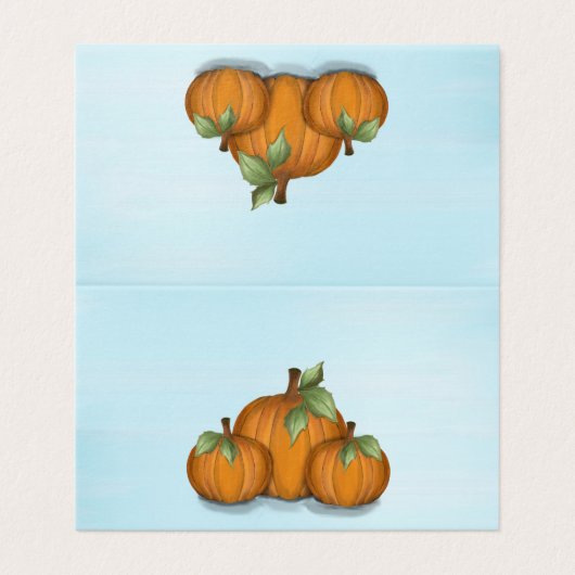 Schildpompoenen blanco plaatkaart kaart (Buitenkant ongevouwen)