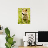 Schildpuppy Poster (Thuiskantoor)