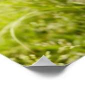 Schildpuppy Poster (Hoek)