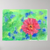 Schildroze Gerbera Daisy Waterverf Art Poster (Voorkant)