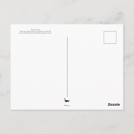 Schildschildpad Briefkaart (Achterkant)