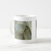 Schildschildpad (Chrysemys picta) Koffiemok (Voorkant links)