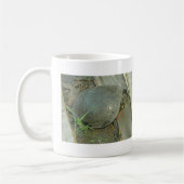 Schildschildpad (Chrysemys picta) Koffiemok (Links)