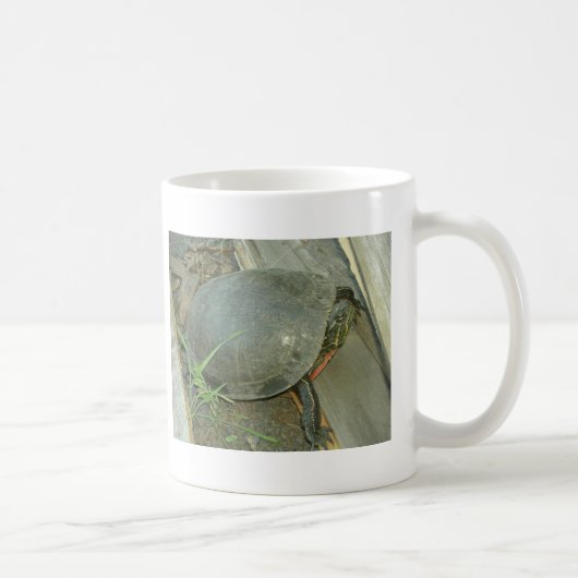 Schildschildpad (Chrysemys picta) Koffiemok (Rechts)