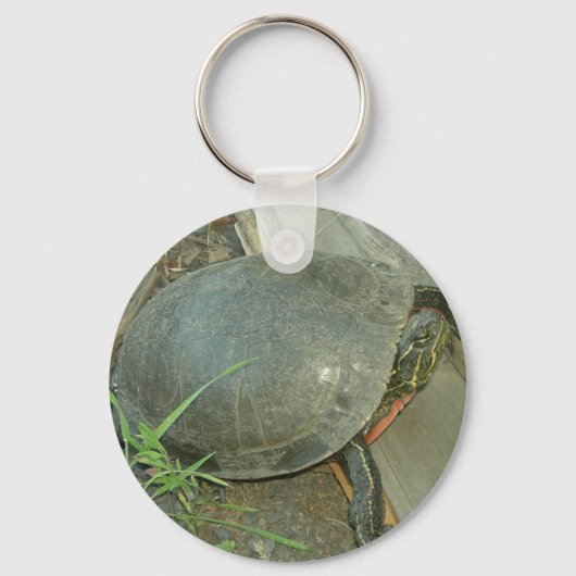 Schildschildpad (Chrysemys picta) Sleutelhanger (Voorkant)
