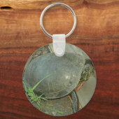 Schildschildpad (Chrysemys picta) Sleutelhanger (Voorkant)