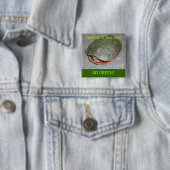 Schildschildpad GREEN Button (In situ)