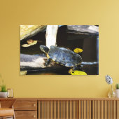 Schildschildpad in het wild canvas afdruk (Insitu (Woonkamer))