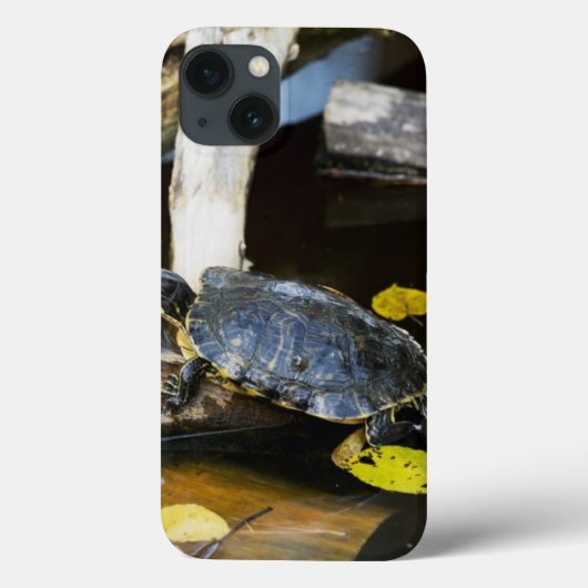 Schildschildpad in het wild Case-Mate iPhone case (Achterkant)