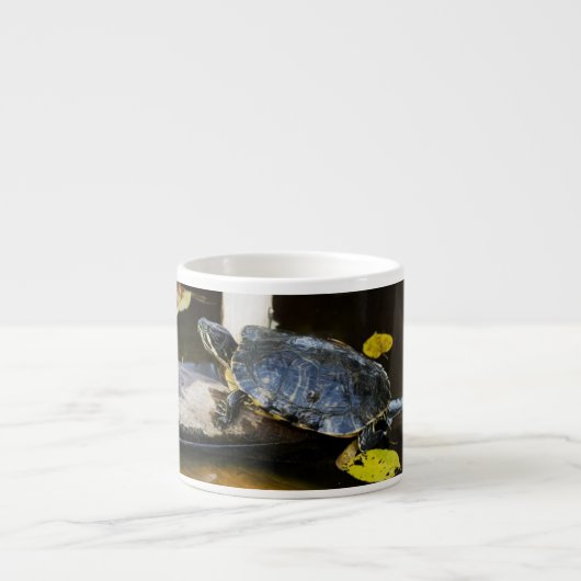 Schildschildpad in het wild espresso kop (Voorkant)