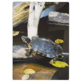 Schildschildpad in het wild klembord (Achterkant)