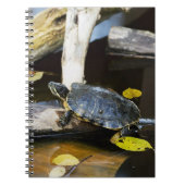 Schildschildpad in het wild notitieboek (Voorkant)