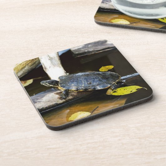 Schildschildpad in het wild onderzetter (Linkerzijde)