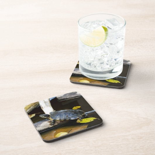 Schildschildpad in het wild onderzetter (Rechterzijde)