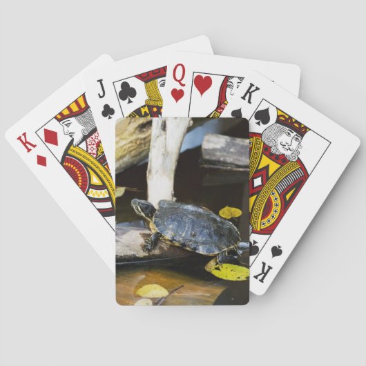 Schildschildpad in het wild pokerkaarten (Achterkant)