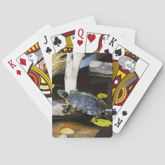 Schildschildpad in het wild speelkaarten (Achterkant)
