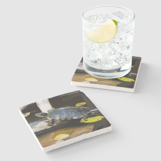 Schildschildpad in het wild stenen onderzetter (Zijkant)