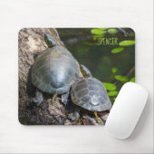 Schildschildpad Muismat (Met muis)