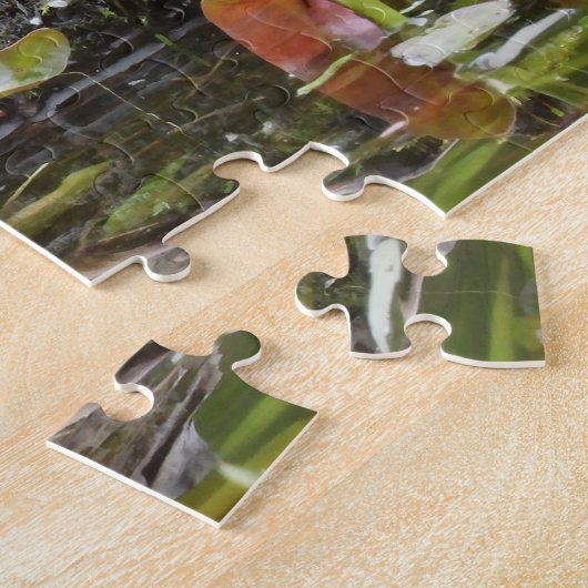 Schildschildpad op aanmeldingspond legpuzzel (Zijkant)