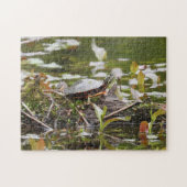 Schildschildpad op aanmeldingspond legpuzzel (Horizontaal)