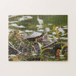 Schildschildpad op aanmeldingspond legpuzzel