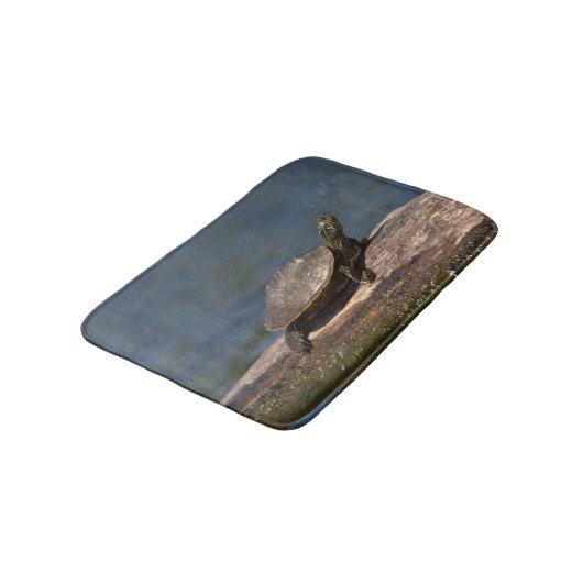 Schildschildpad op een logboek badmat (Gekanteld)