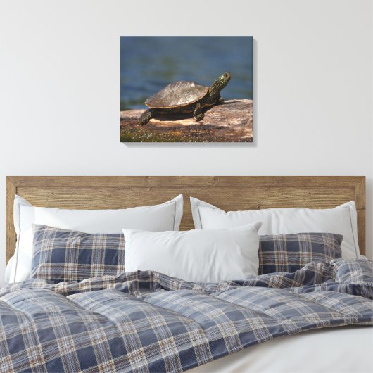 Schildschildpad op een logboek canvas afdruk (Insitu (Slaapkamer))