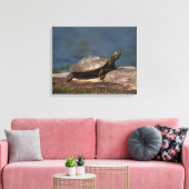Schildschildpad op een logboek canvas afdruk (Insitu (Woonkamer))