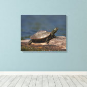 Schildschildpad op een logboek canvas afdruk (Insitu (Houten vloer))