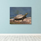 Schildschildpad op een logboek canvas afdruk (Insitu (Houten vloer))