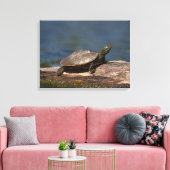 Schildschildpad op een logboek canvas afdruk (Insitu (Woonkamer))