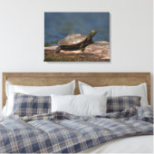 Schildschildpad op een logboek canvas afdruk (Insitu (Slaapkamer))