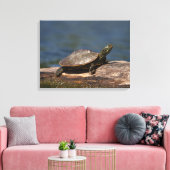Schildschildpad op een logboek canvas afdruk (Insitu (Woonkamer))