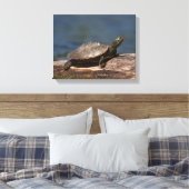 Schildschildpad op een logboek canvas afdruk (Insitu (Slaapkamer))
