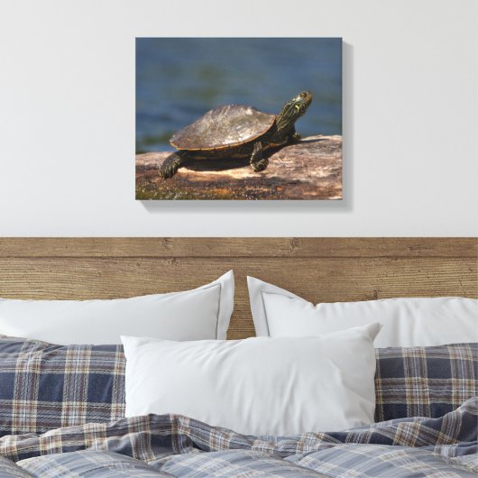 Schildschildpad op een logboek canvas afdruk (Insitu (Slaapkamer))