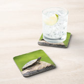 Schildschildpad op een logboek drankjes onderzetter (Rechterzijde)