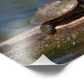 Schildschildpad op een logboek foto afdruk (Hoek)